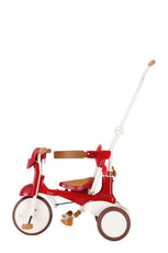 iimo 3-in-1 Foldable Tricycle with Canopy - Puritific