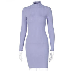 Victoria Ribbed Turtleneck Mini Dress - Puritific