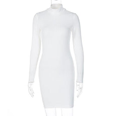 Victoria Ribbed Turtleneck Mini Dress - Puritific