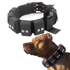 Walktime Dog Collar Tactical Dog Collar Weighted Dog Collar with Weights for Dog Training and Exercise Equipment - Free Weights Small Medium Large Dogs