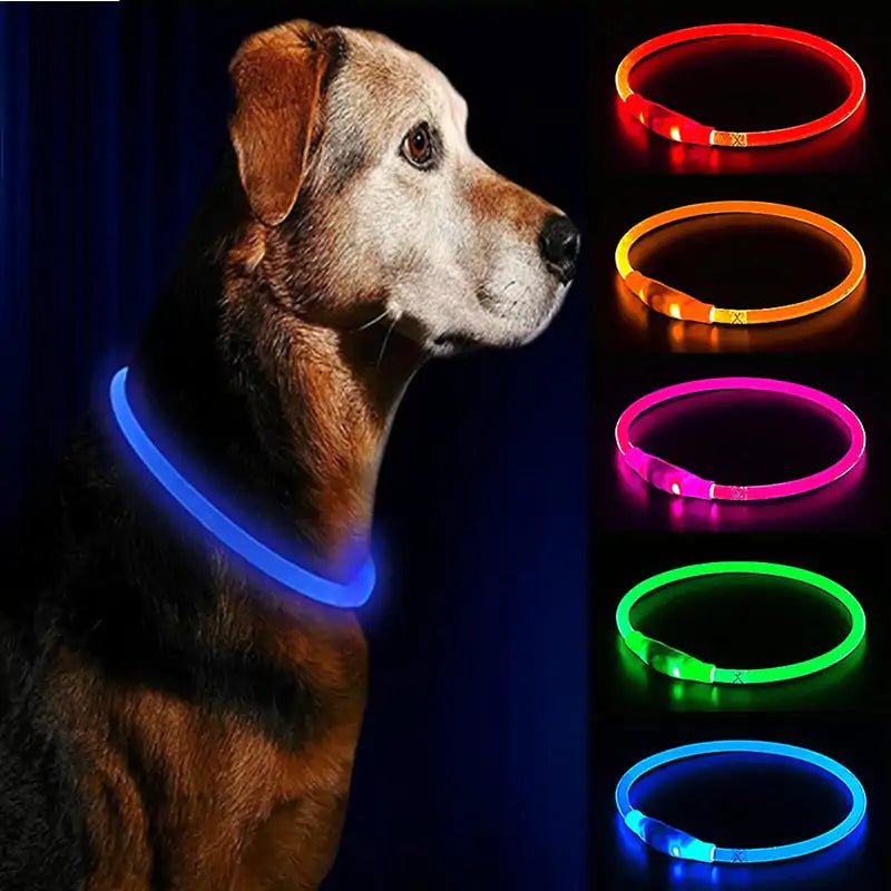 LED Waterproof Dog Collars - Puritific