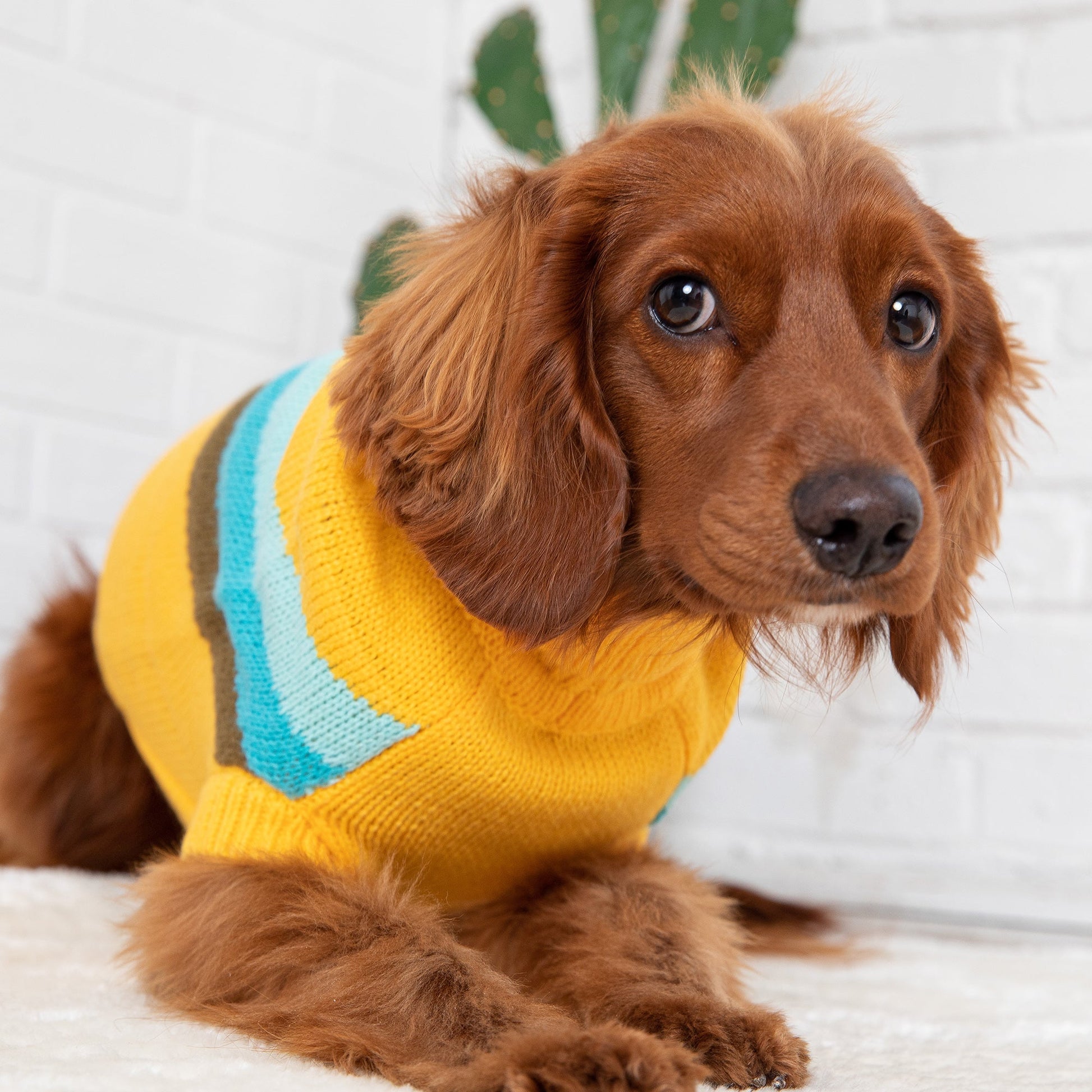 Alpine Sweater - Yellow - Puritific