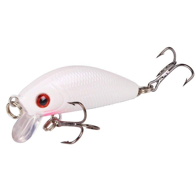 1 Piece Minnow Fishing Lure - Puritific