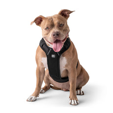 Travel Harness - Black - Puritific