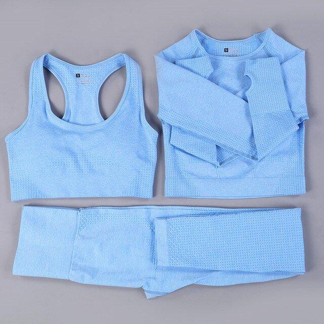 2/3PCS Seamless Women Workout Sportswear - Puritific