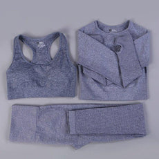 2/3PCS Seamless Women Workout Sportswear - Puritific