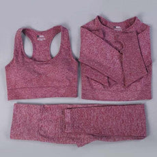 2/3PCS Seamless Women Workout Sportswear - Puritific