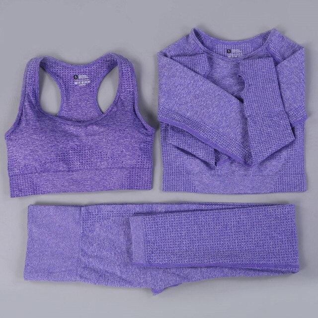 2/3PCS Seamless Women Workout Sportswear - Puritific