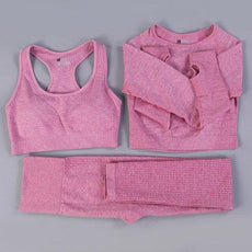 2/3PCS Seamless Women Workout Sportswear - Puritific