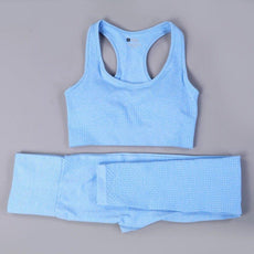 2/3PCS Seamless Women Workout Sportswear - Puritific