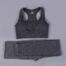 2/3PCS Seamless Women Workout Sportswear - Puritific