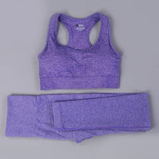 2/3PCS Seamless Women Workout Sportswear - Puritific