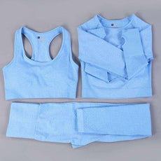 2/3PCS Seamless Women Workout Sportswear - Puritific