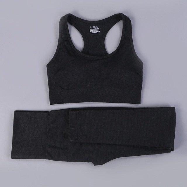 2/3PCS Seamless Women Workout Sportswear - Puritific