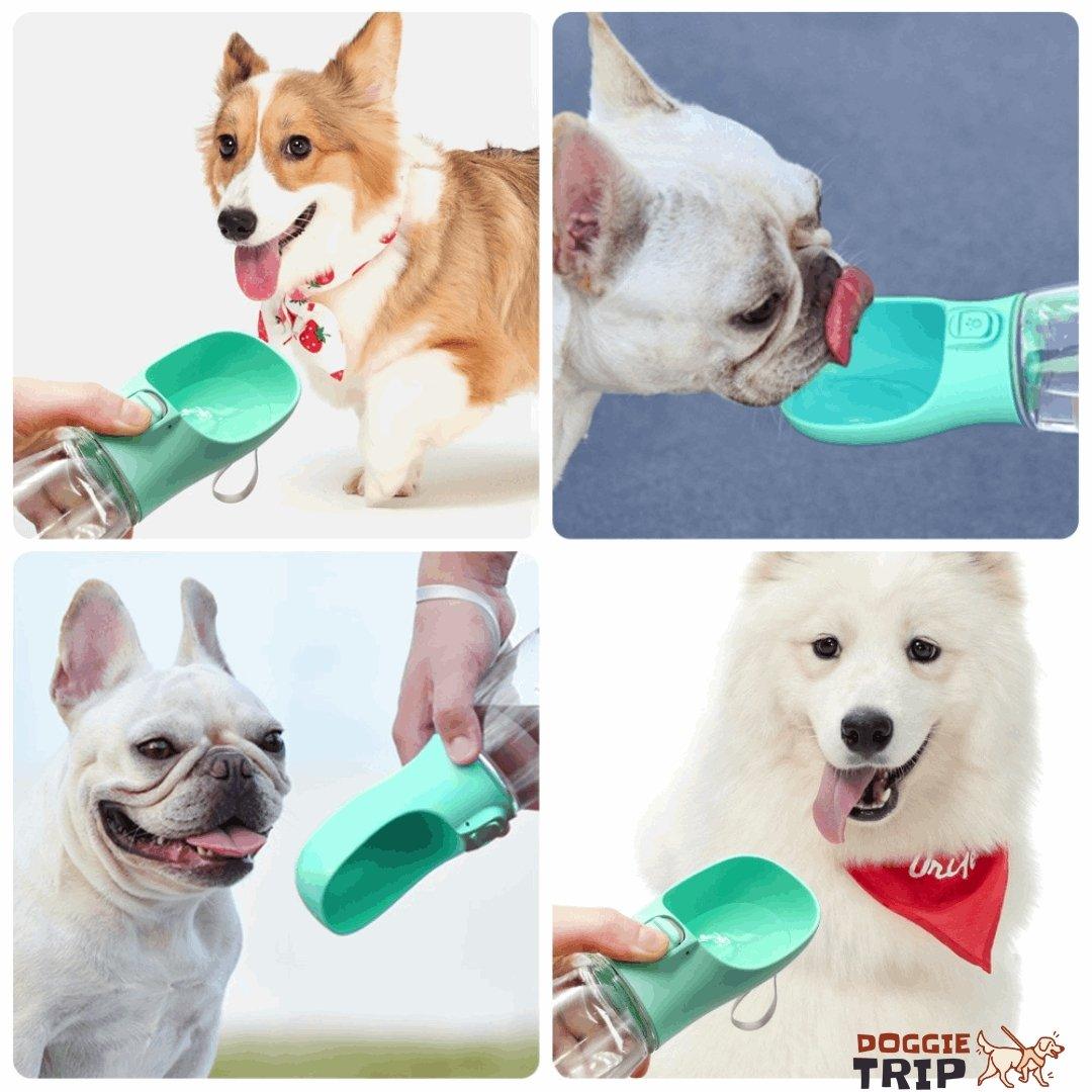 3 in 1 Dog Water Bottle - Feeder - Puritific