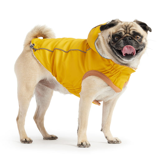 Insulated Raincoat - Yellow - Puritific