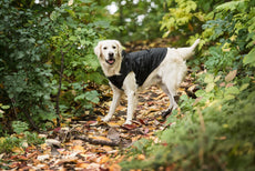 Black Packable Dog Raincoat - Puritific