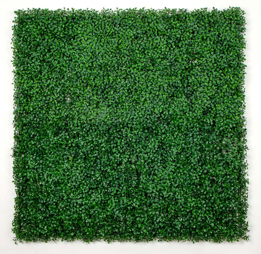 Artificial Boxwood Green Wall 33SQ FT UV Resistant - Puritific