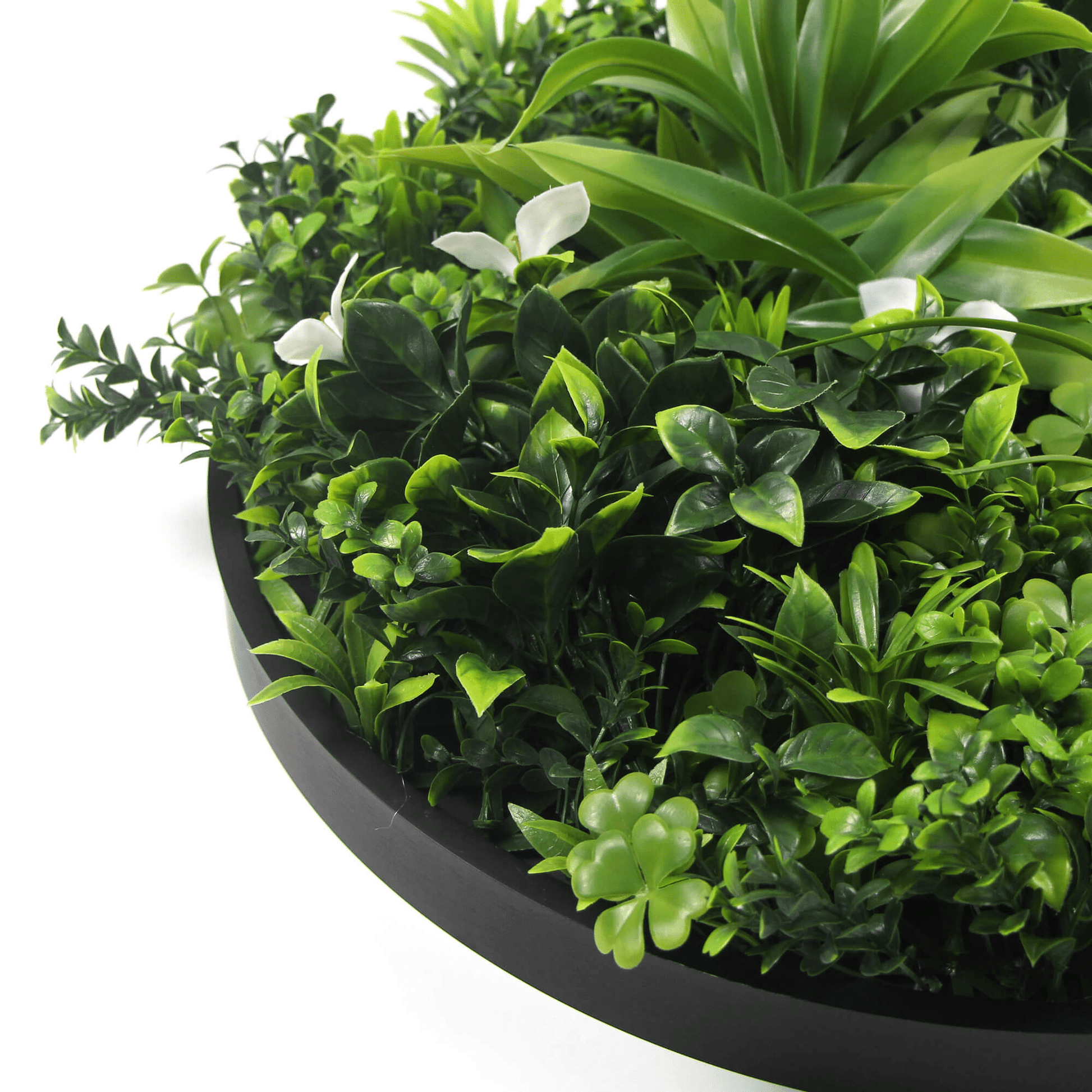 Artificial Green Wall Disc 20" Black Frame UV Resistant - Puritific