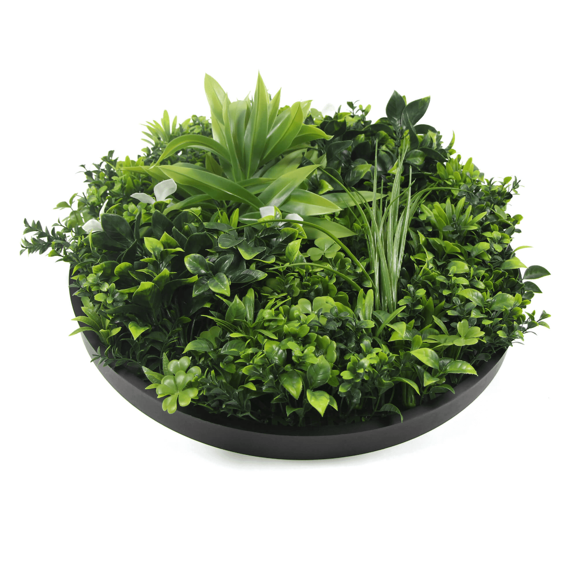 Artificial Green Wall Disc 20" Black Frame UV Resistant - Puritific