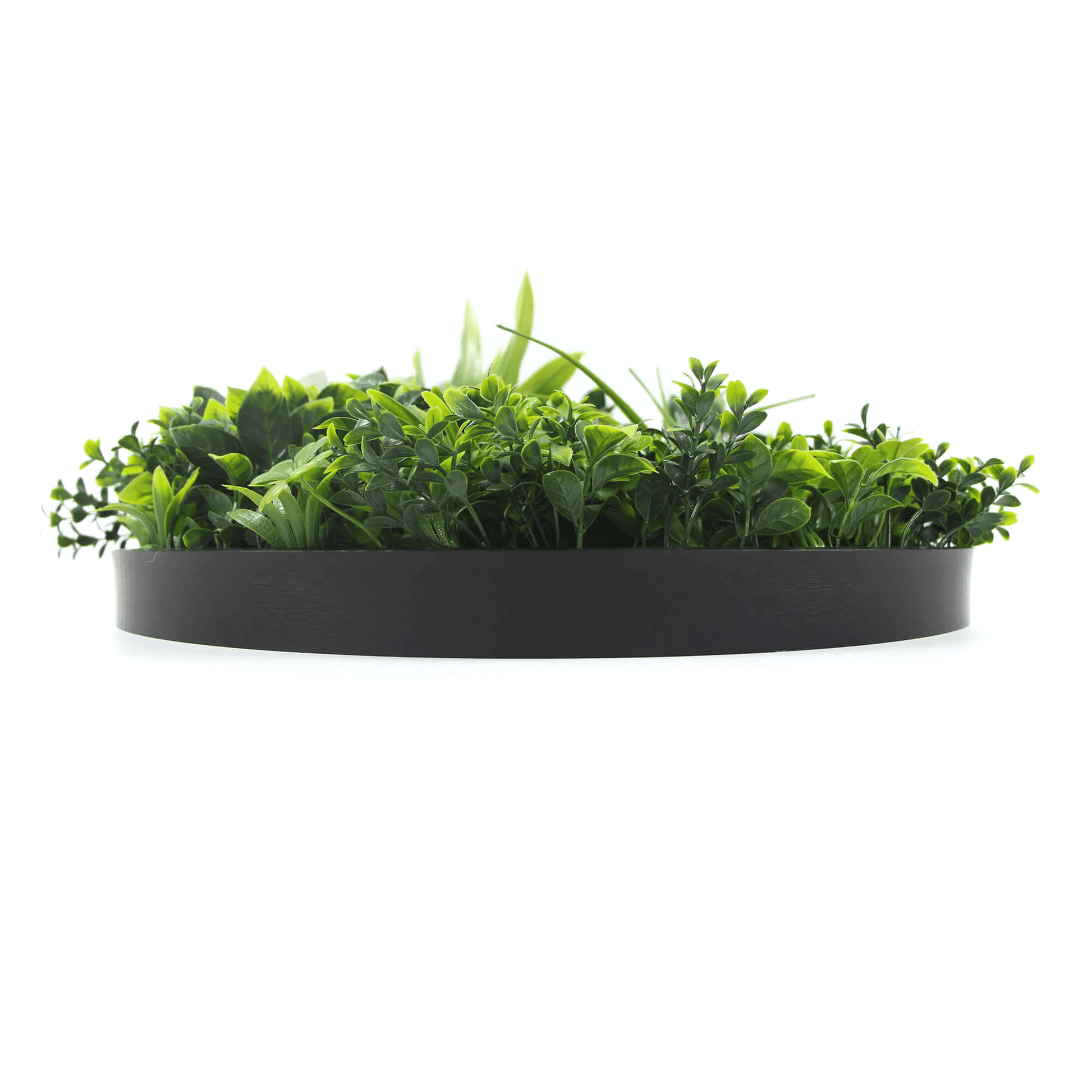 Artificial Green Wall Disc 20" Black Frame UV Resistant - Puritific