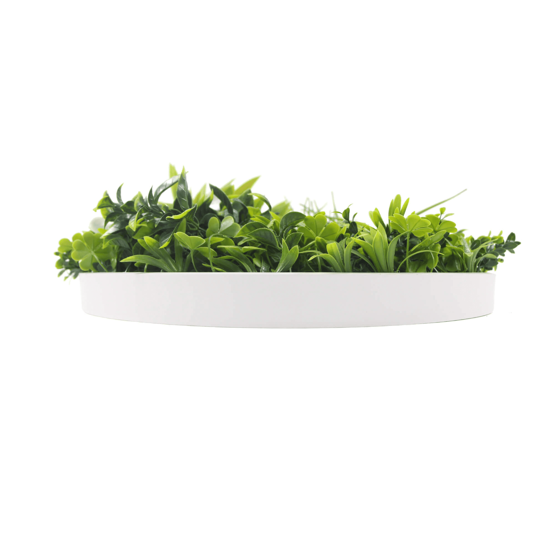 Artificial Green Wall Disc 20" White Frame UV Resistant - Puritific