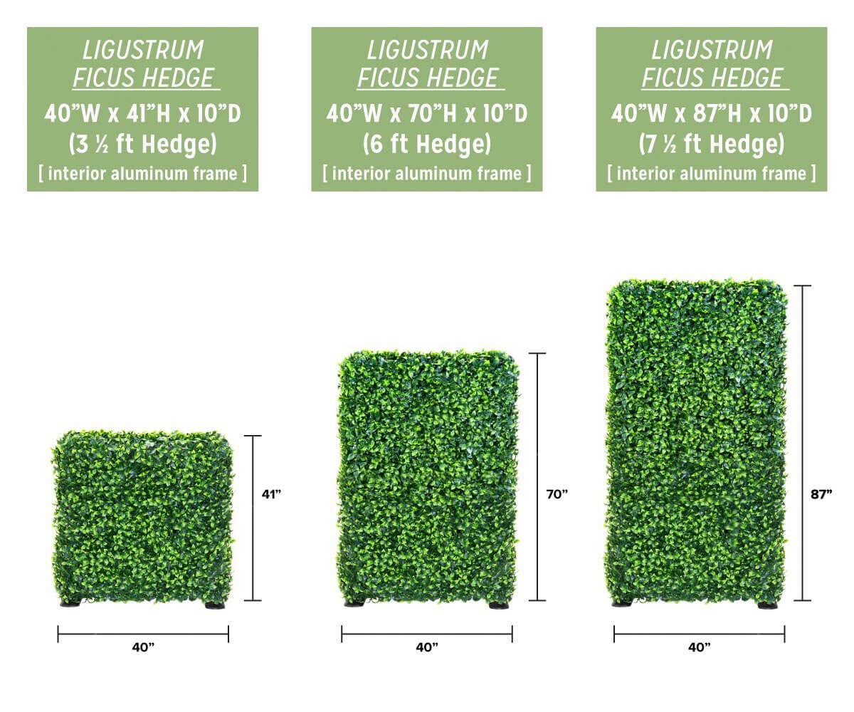 Artificial Ligustrum Ficus Freestanding Hedge (3 Sizes) UV Resistant - Puritific