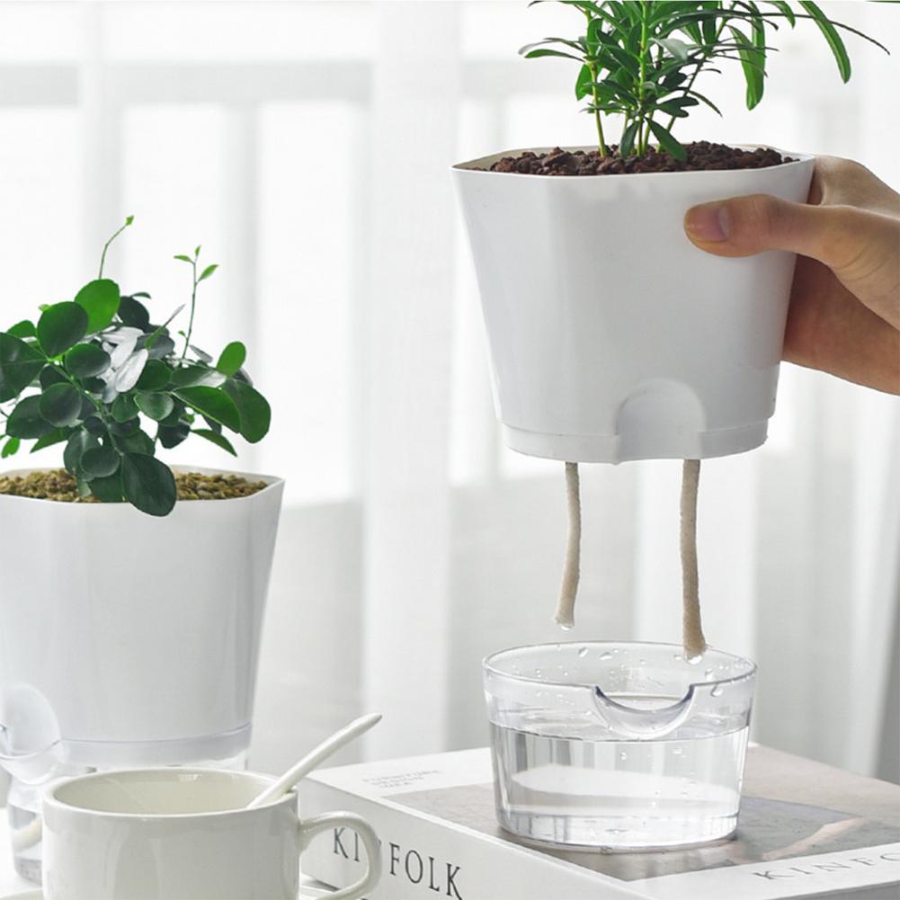 Automatic Water-Absorbing Flowerpot - Puritific