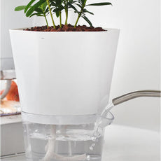 Automatic Water-Absorbing Flowerpot - Puritific