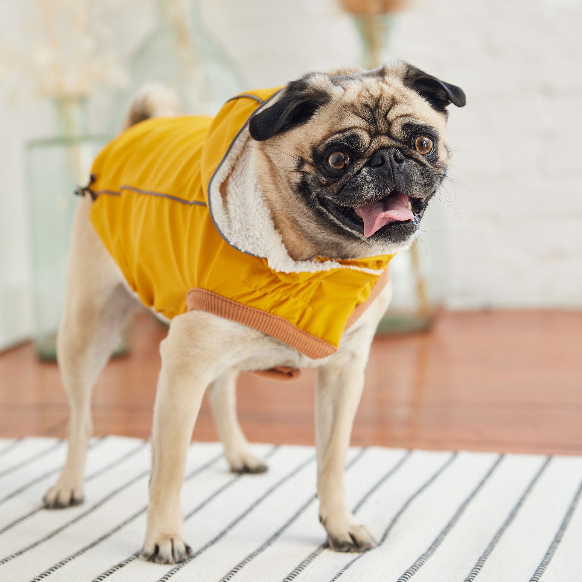 Insulated Raincoat - Yellow - Puritific