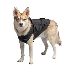 Black Packable Dog Raincoat - Puritific