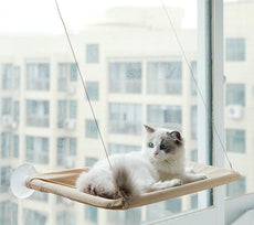 Cat Hanging Bed Shelf - Puritific