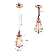 Ceiling Rose Balloon Cage Hanging Pendant Lamp Holder Light Fitting Lighting Kit UK~1193-29