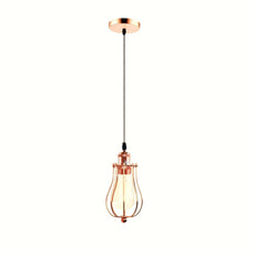 Ceiling Rose Balloon Cage Hanging Pendant Lamp Holder Light Fitting Lighting Kit UK~1193-8