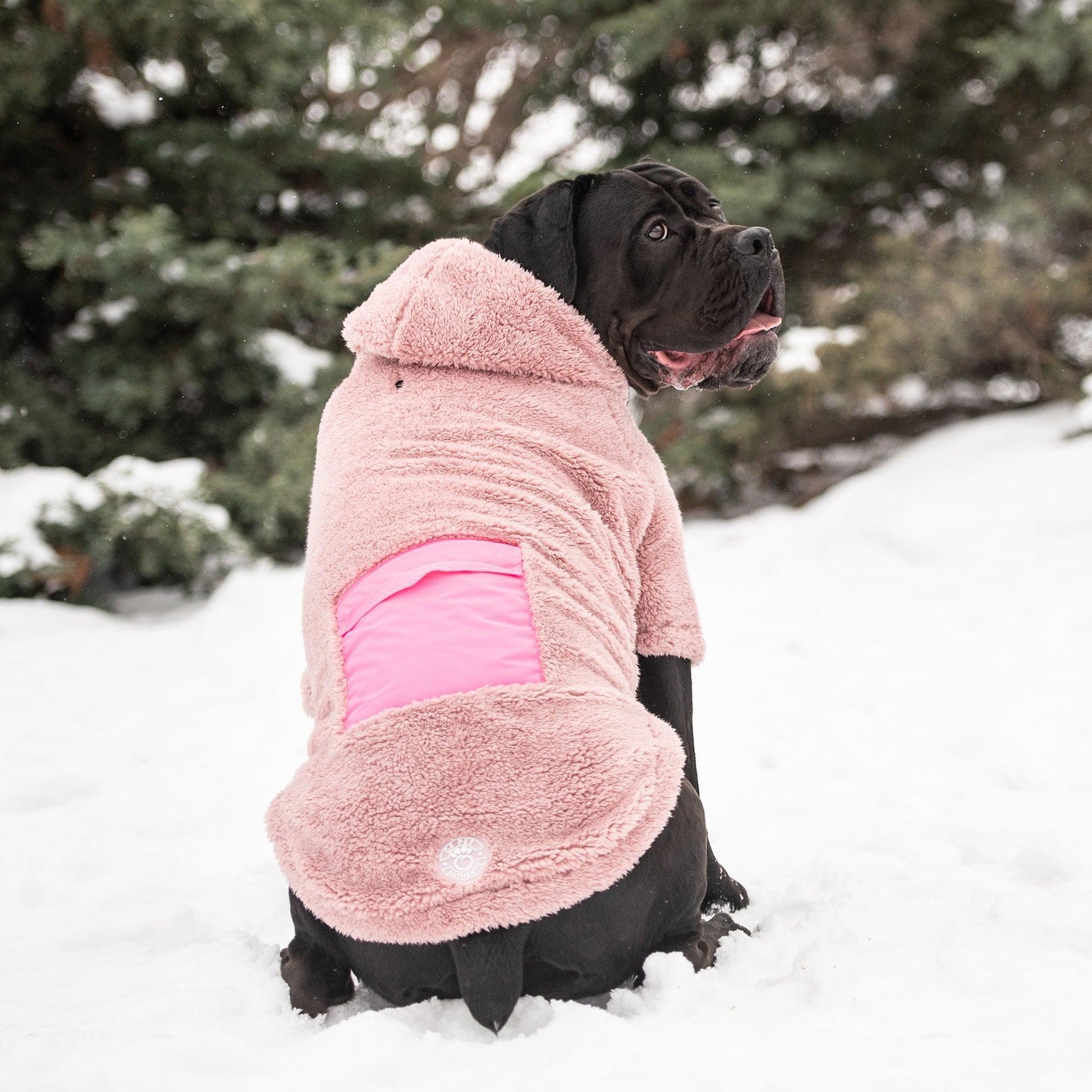 Cozy Hoodie - Pink - Puritific