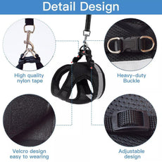 CozyCat Pet Harness and Leash - Puritific