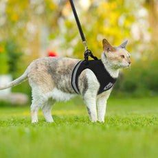 CozyCat Pet Harness and Leash - Puritific