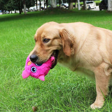 Cute Monster - Interactive Dog Toy - Puritific