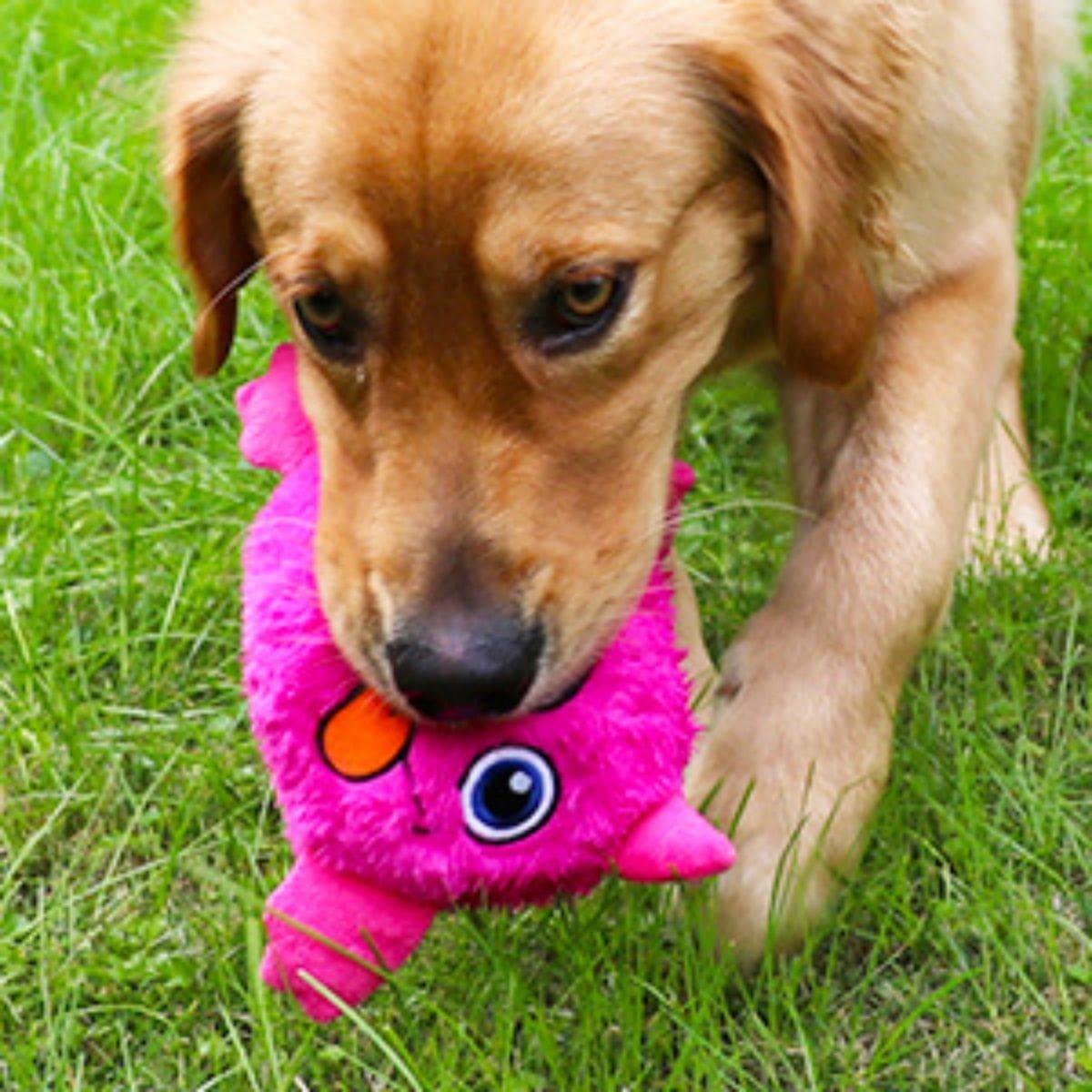 Cute Monster - Interactive Dog Toy - Puritific