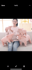 Cutie Pig Plush - Puritific