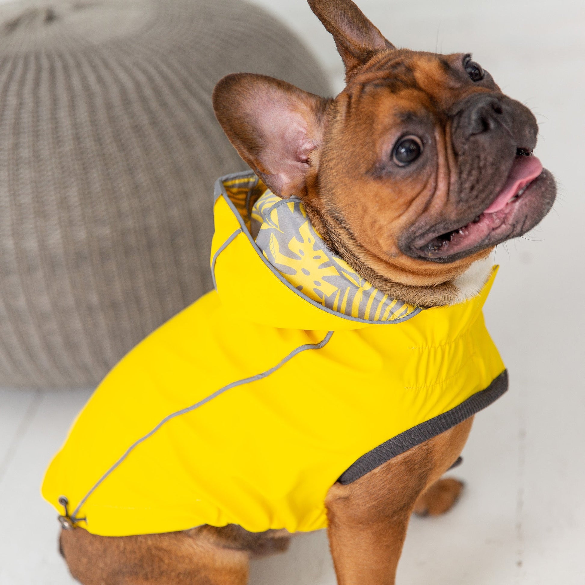 Reversible Elasto-Fit Raincoat - Yellow - Puritific