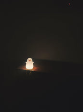 Dewey™ the Duck Night Light - Puritific