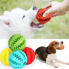 Dog Chew Toy - Puritific