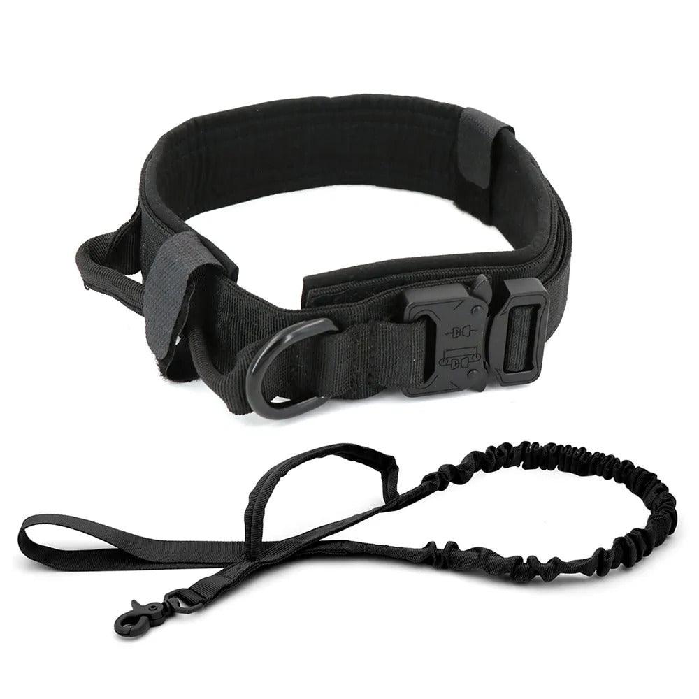 Dog Collar - Puritific