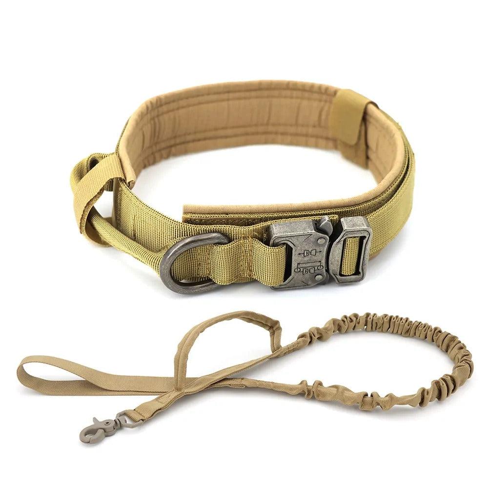 Dog Collar - Puritific