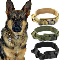 Dog Collar - Puritific