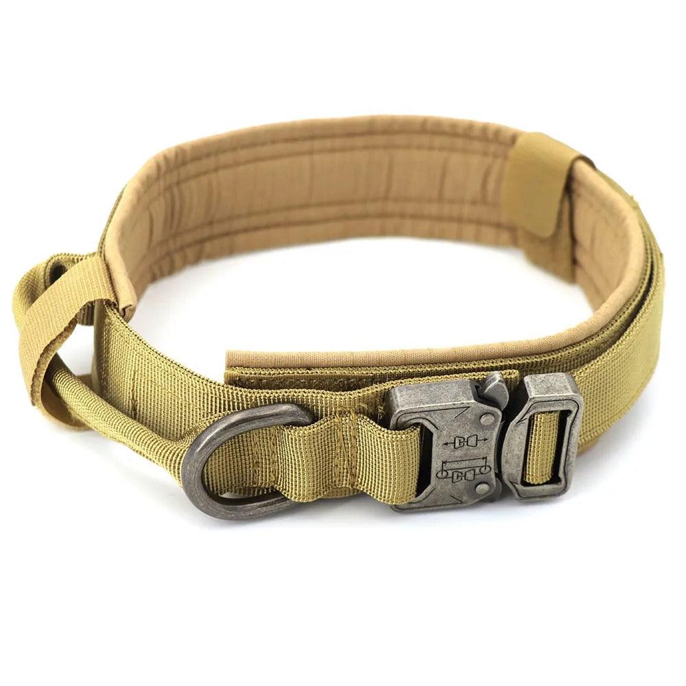 Dog Collar - Puritific