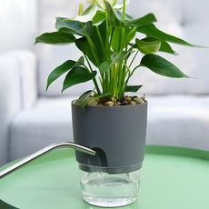 Double Layer Self Watering Flowerpot - Puritific