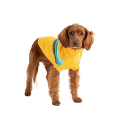 Alpine Sweater - Yellow - Puritific