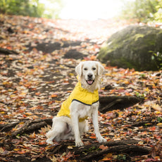 Reversible Elasto-Fit Raincoat - Yellow - Puritific